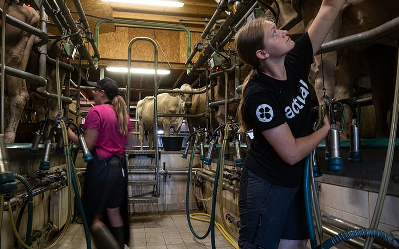 Visite de la ferme du Pralong